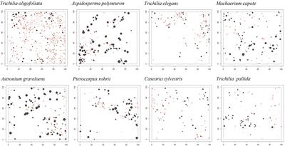 Spatial facilitation and competition regulate tree species assembly in a tropical dry forest